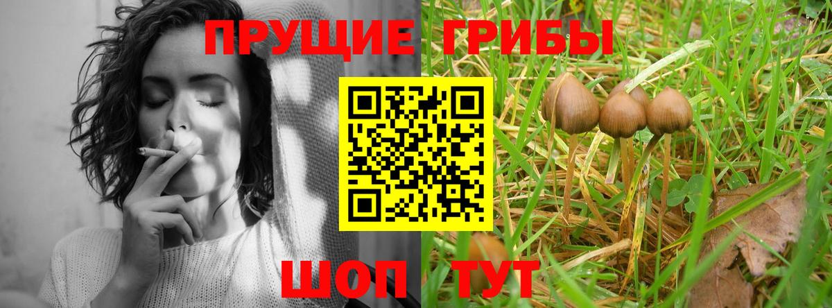 Псилоцибиновые грибы Cubensis Нижнекамск