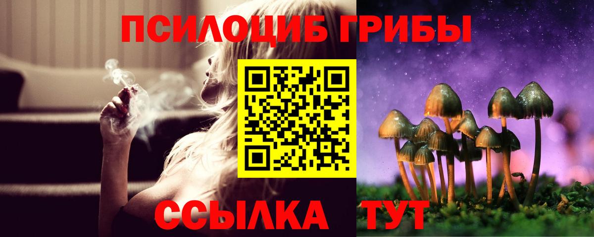 Нижнекамск  Галлюциногенные грибы прущие грибы  Вход с VPN  Псилоцибиновые грибы Cubensis 